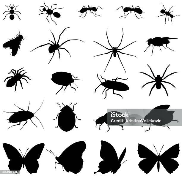Insects Silhouette Stock Illustration - Download Image Now - Insect, In Silhouette, Ant