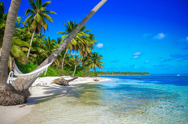 istock Tropical Paradise - Hammock between palm trees at the seaside 483482498