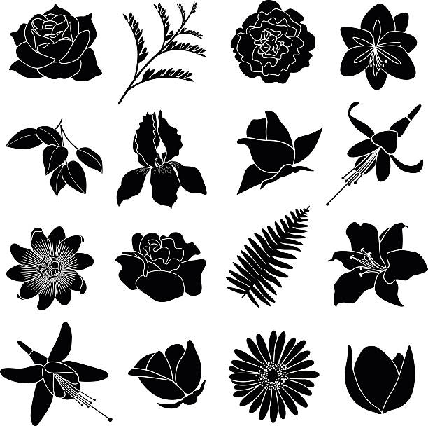 꽃 아이콘 - rose flower bed silhouette flower stock illustrations