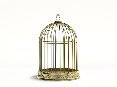 Golden birds cage