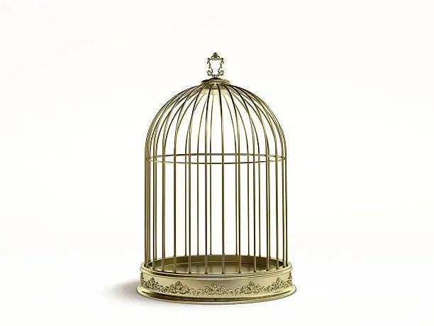 Photo of Golden birds cage