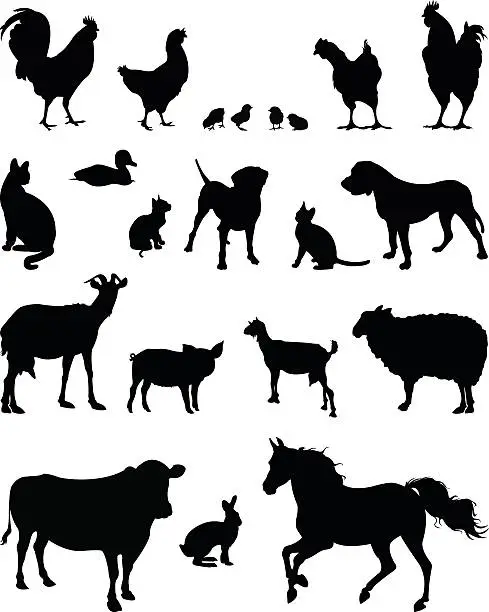 Vector illustration of farm animals silhouette