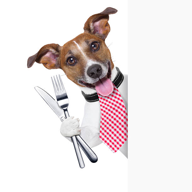 hungry dog hungry dog with cutlery waiting for the meal fork silverware table knife fine dining stock pictures, royalty-free photos & images