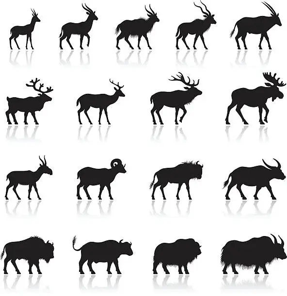 Vector illustration of Set of Horned Animal Silhouettes