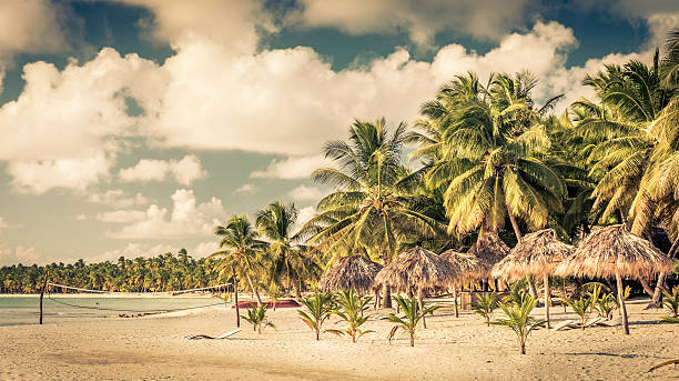 istock Caribbean beach in Dominican Republic 483485674