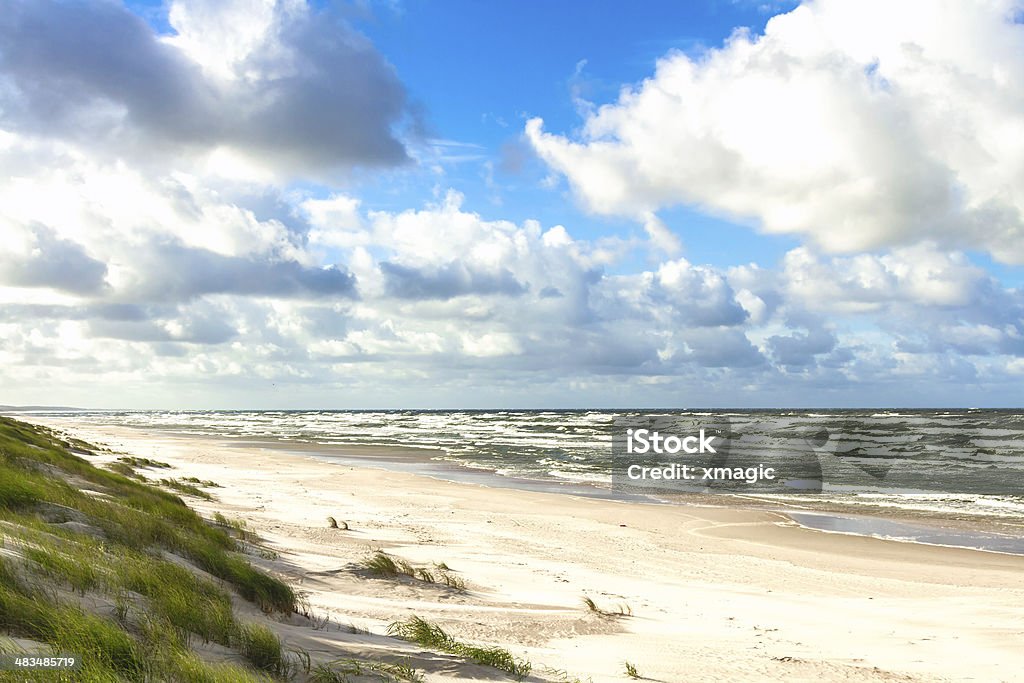 Sand beach on the Baltic sea White sand beach. View to the Baltic Sea Costline. Curonian Spit, Nida, Neringa, Lithuania Animal Wildlife Stock Photo