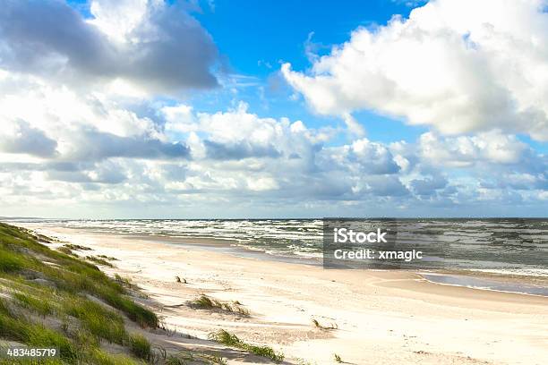 Sand Beach On The Baltic Sea Stock Photo - Download Image Now - Animal Wildlife, Baltic Countries, Beach