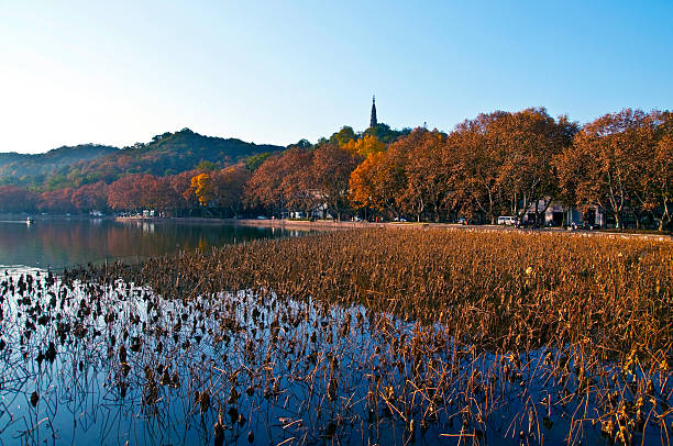 istock China Hangzhou West Lake 483486124