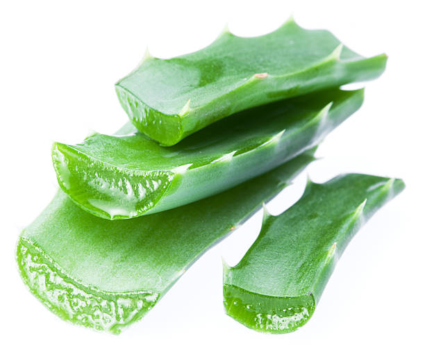 istock Fresh aloe vera leaves. 483488184