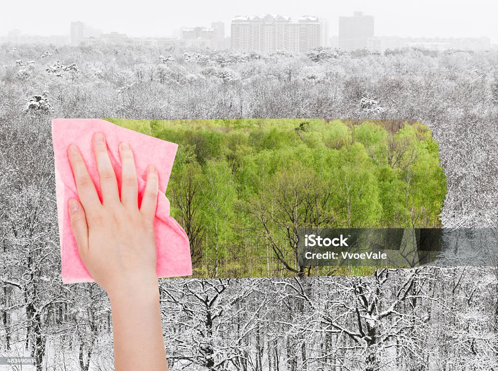 hand löscht mit rosa Tuch winter forest - Lizenzfrei 2015 Stock-Foto