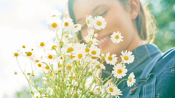 istock Bouquet of chamomiles 483495406
