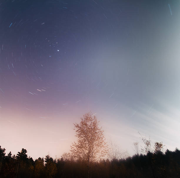 senderos de estrellas y abedul en la noche - star trail clear sky tranquil scene circle fotografías e imágenes de stock