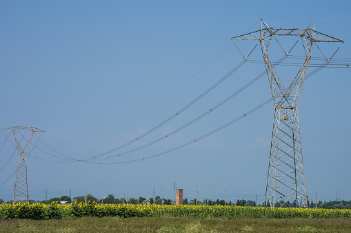 Power pole, high voltage line in sunflower field, Tuscany