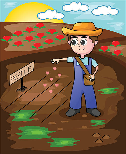 620 Planting Seeds Cartoon Illustrations & Clip Art - iStock