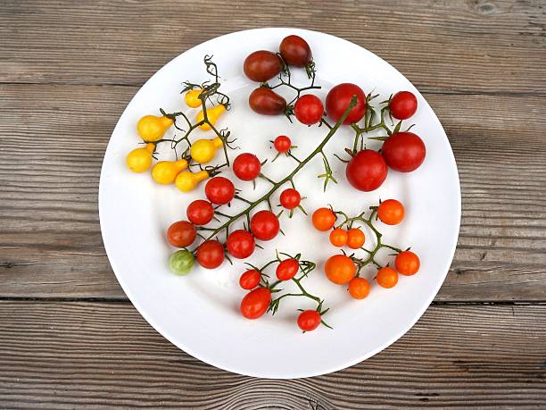 Colorful Organic Non-Gmo Heirloom Cherry Tomato Varieties stock photo