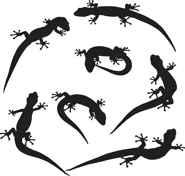 Vector illustration of Geckos Galore (vector)