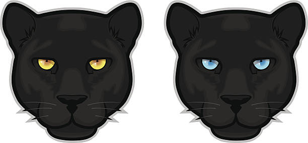 Black Panther Heads Stock Illustration - Download Image Now - Black Leopard,  Jaguar - Cat, Animal Head - iStock