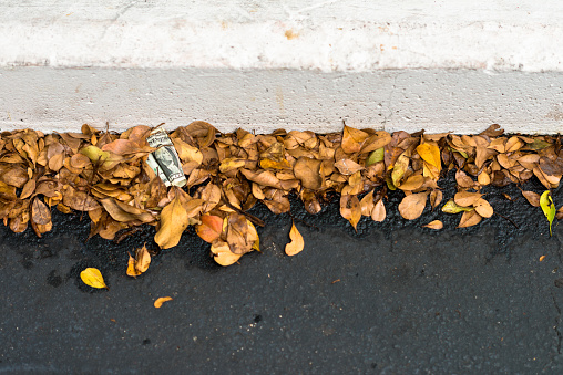 Crumpled US Dollar Bill in gutter with fall Leaves
