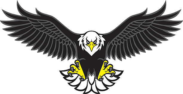 eagle mascot spread the wings vector of eagle mascot spread the wings falcon bird stock illustrations