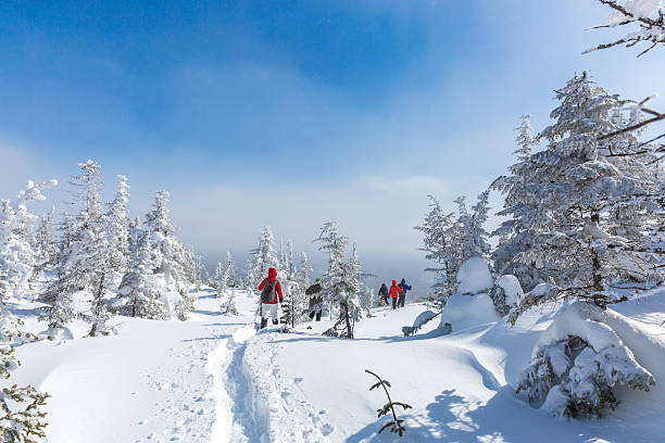 gruppe von menschen schneeschuhwanderungen im winter forest - winter snowshoeing running snowshoe stock-fotos und bilder