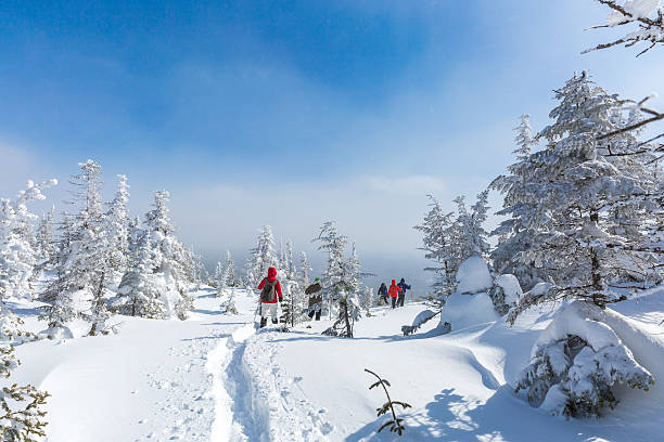 groupe de personnes de la marche en raquettes dans la forêt d'hiver - winter snowshoeing running snowshoe photos et images de collection