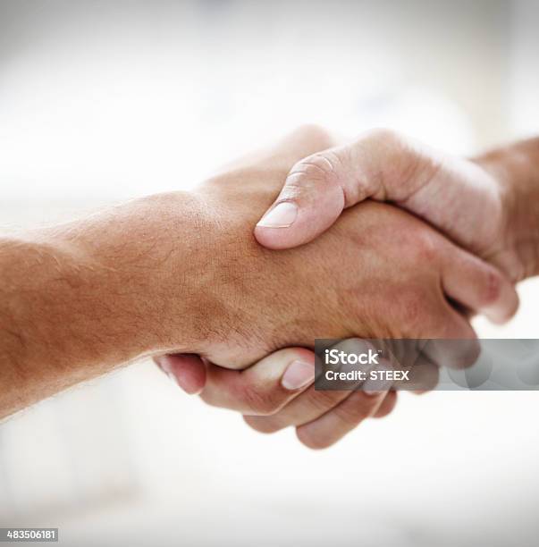 Taking On The Business World Together Stock Photo - Download Image Now - Close-up, Handshake, 20-29 Years