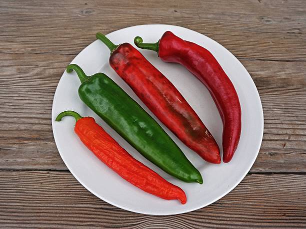 Red, Burgundy, Green, Orange Cayenne Peppers stock photo