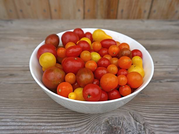 Heirloom Varieties of Colorful Cherry Tomatoes stock photo
