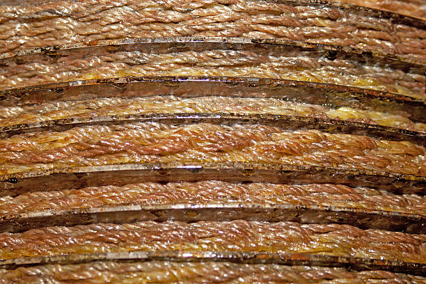 pressing of cold-pressed olive oil