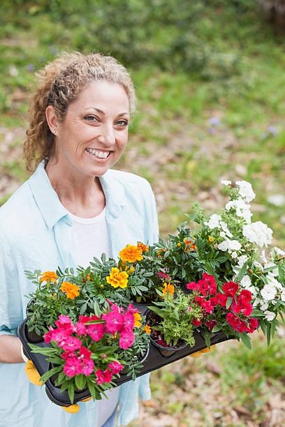 istock Woman gardening 483508921