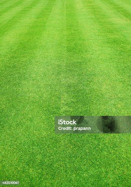 Green Grass Background Stock Photo - Download Image Now - Activity, Aristocracy, Backdrop - Artificial Scene