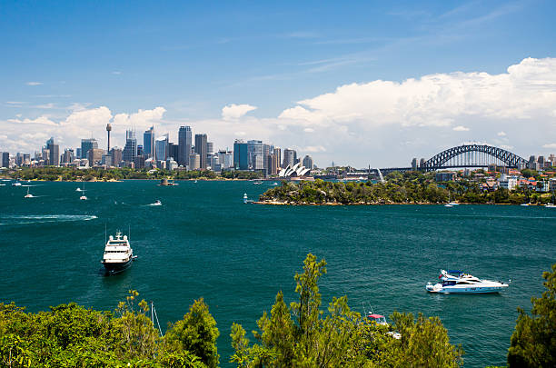 sydney harbour del zoológico taronga - taronga fotografías e imágenes de stock