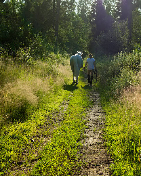 istock Horse and woman 483510622