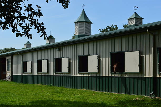 istock New Orleans, Louisiana horse stable 483511544