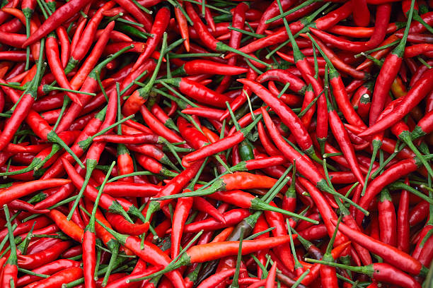 istock Red Pepper chilli and Food 483515070