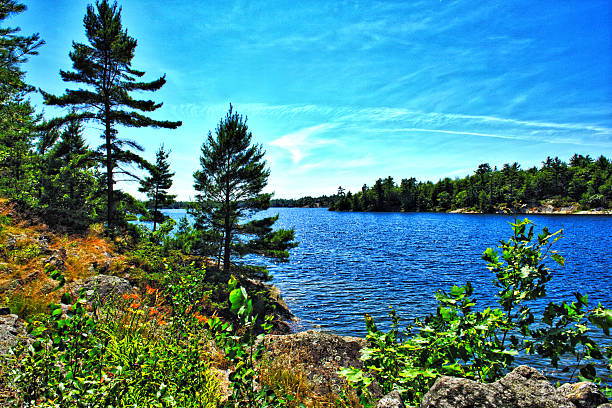 istock From the cottage on Georgian Bay 483526636