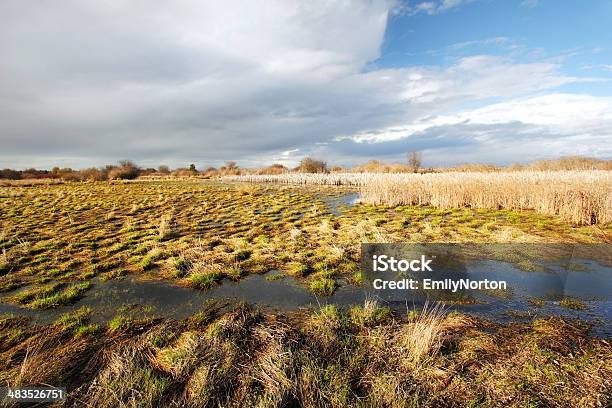 Boundary Bay Regional Park Stockfoto und mehr Bilder von Britisch-Kolumbien - Britisch-Kolumbien, Delta, Feuchtgebiet