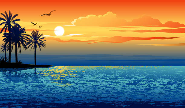 ilustrações, clipart, desenhos animados e ícones de pôr do sol ilha - sunset