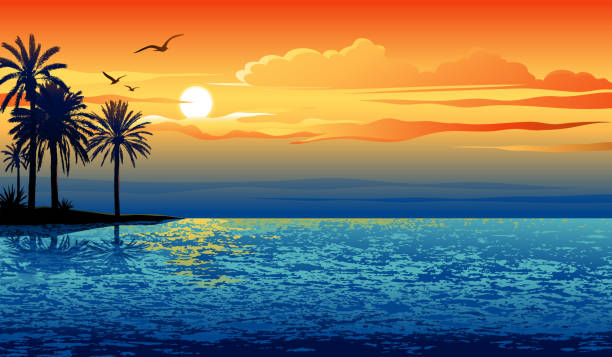 Sunset island All elements are separate objects, grouped and layered. File is made with simple gradient. Global color used. 300dpi jpeg included. Please take a look at other works of mine linked below.  sunset stock illustrations