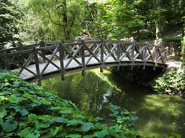 kładka dla pieszych w parku - pond athwart footbridge bridge zdjęcia i obrazy z banku zdjęć