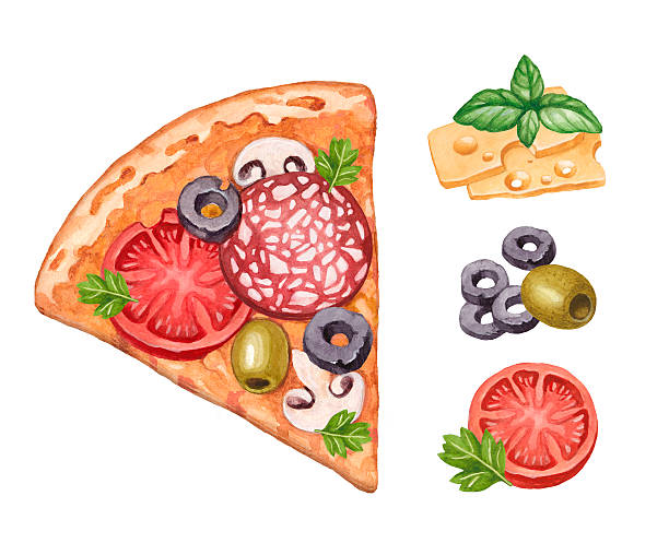 워터컬러 일러스트 피자 및 식재료 - pizza illustration and painting italian cuisine salami stock illustrations