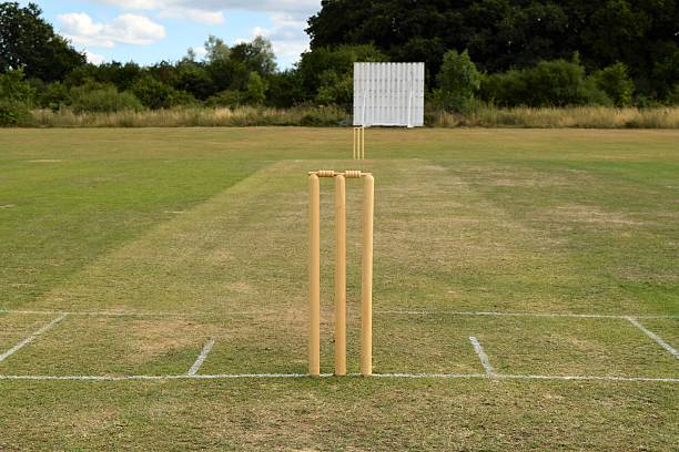 campo da cricket con pastello e stumps - pioli foto e immagini stock