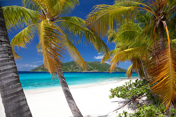 istock Sandy Cay and Little Jost Van Dyke, British Virgin Islands 483530851