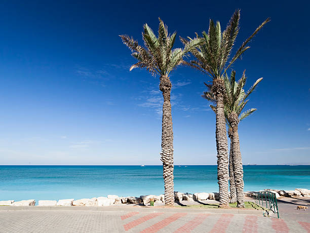 istock Bat Galim promenade. Galshanim beach. Haifa. Israel. 483531648