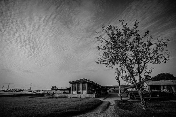 istock Italian countryside landscape 483531951