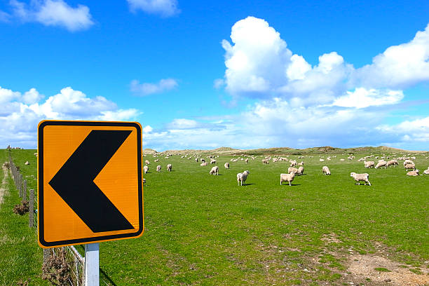 istock Herd of sheep on beautiful green meadow 483532279