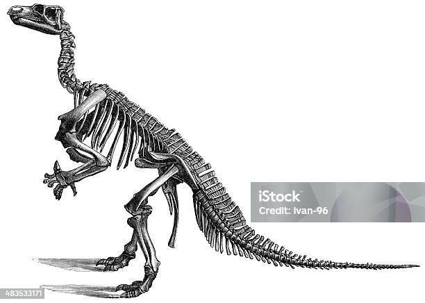 Iguanodont 공룡에 대한 스톡 벡터 아트 및 기타 이미지 - 공룡, 파기, 고고학