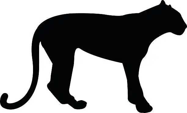 Vector illustration of Black panther
