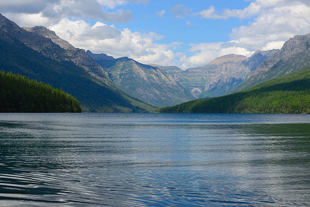 istock bowman lake in summer 483535282