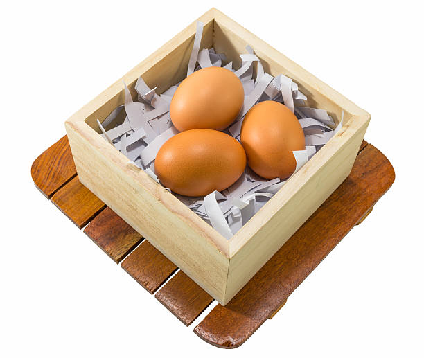 eggs in wood case